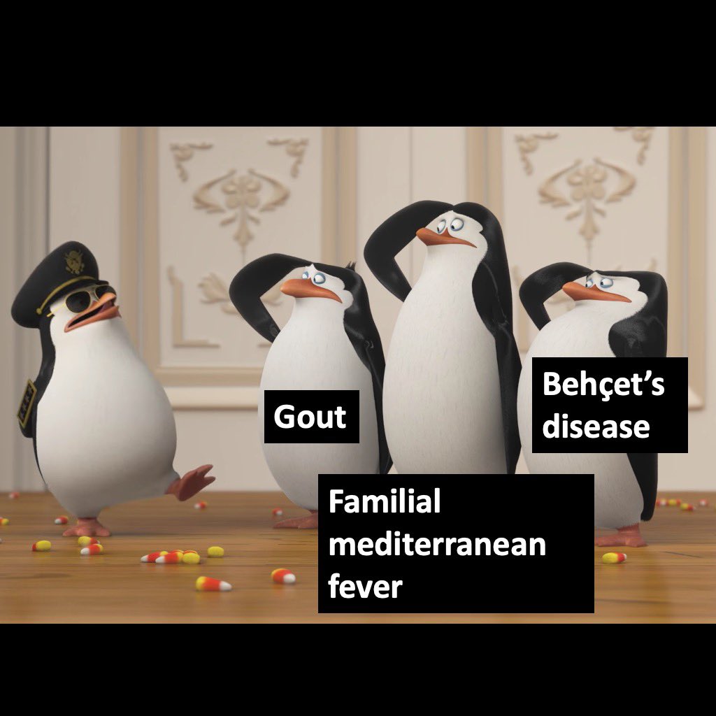 Classify Rx 📱 tweet media