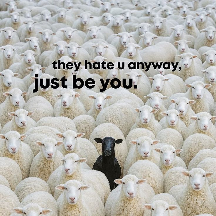 Deep Psychology tweet media