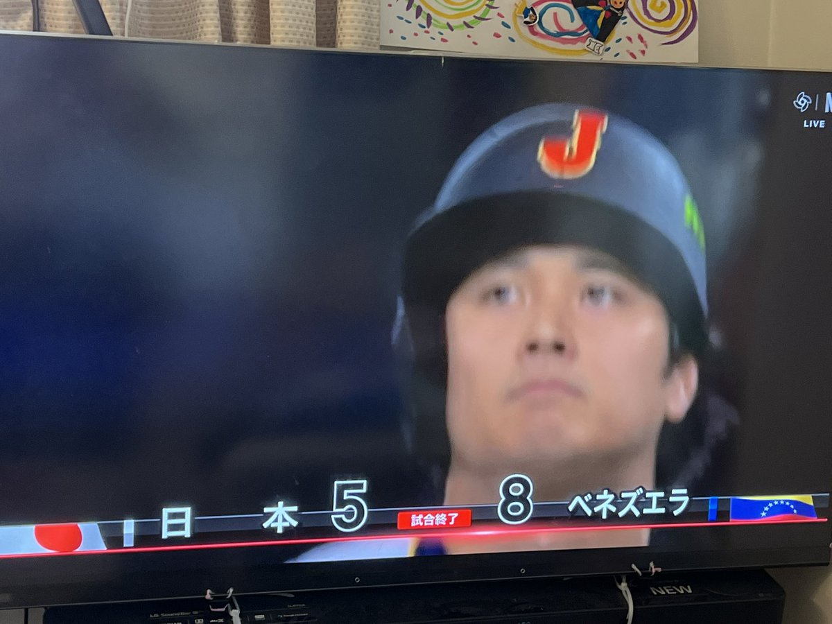 ノボジーン（公式）「ノボちゃん」と呼んでください！ tweet media