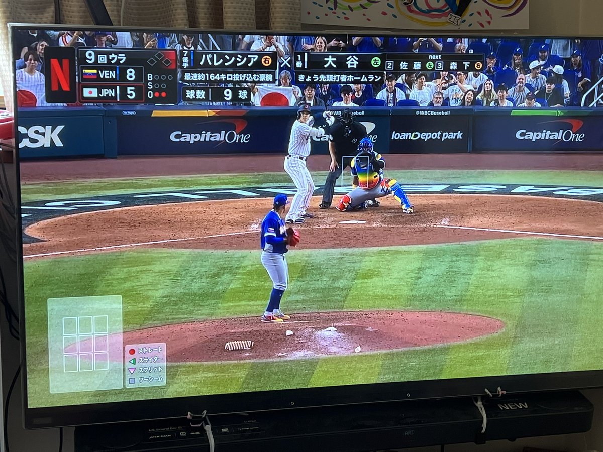 ノボジーン（公式）「ノボちゃん」と呼んでください！ tweet media