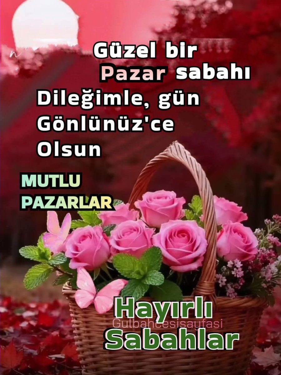 Mehmet Kaya tweet media