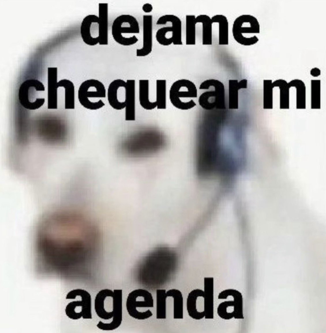 Dana ✂️ tweet media