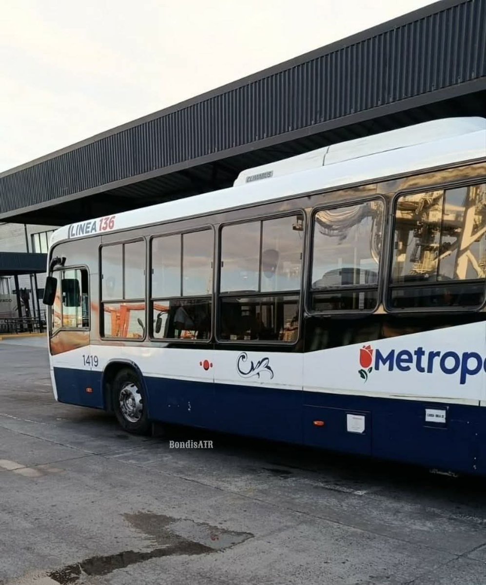 Bondis A Todo Ritmo tweet media