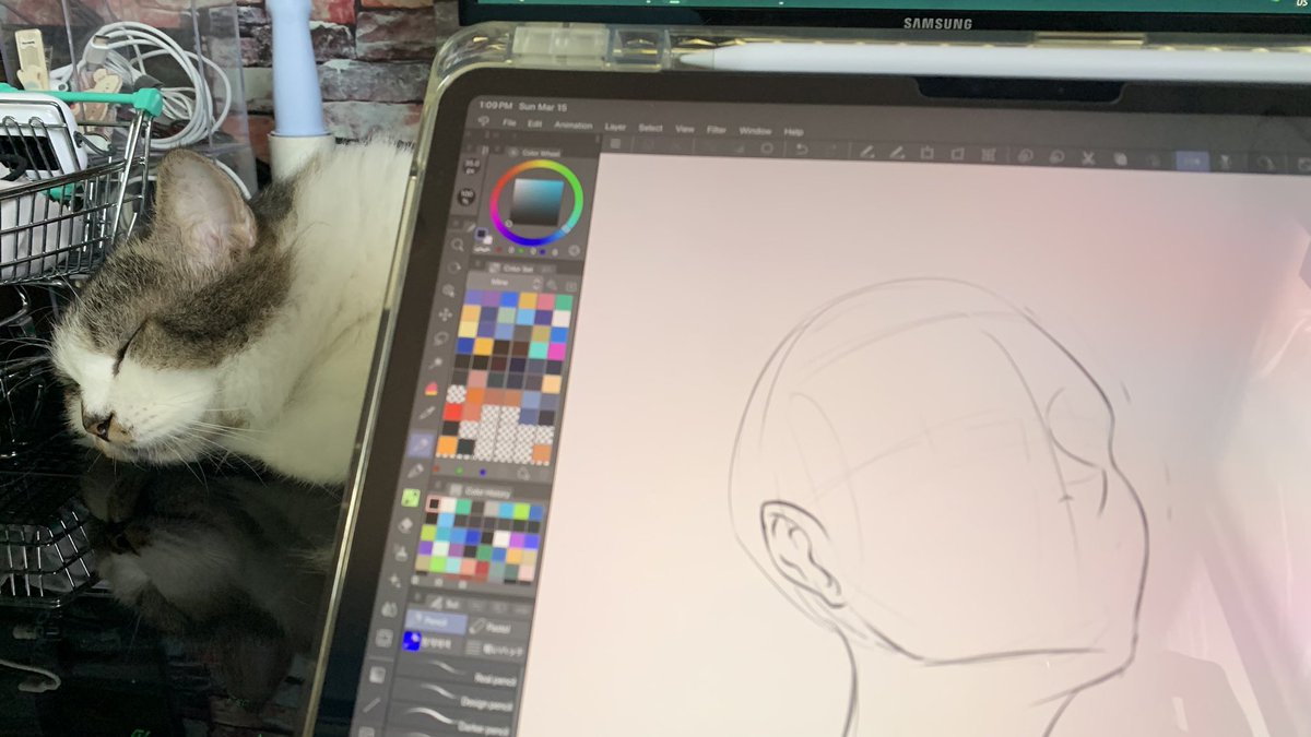 MAXINTOSHI 💎 VGen Comms OPEN tweet media