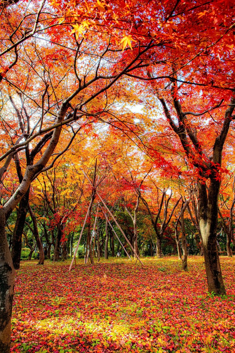 Velson Vv_67 tweet media