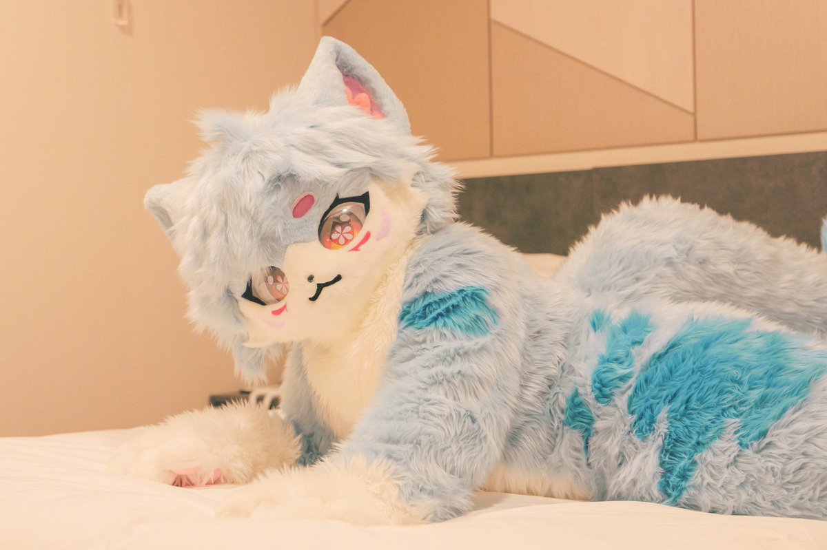 猫又桜🌸(네코마타 사쿠라) tweet media