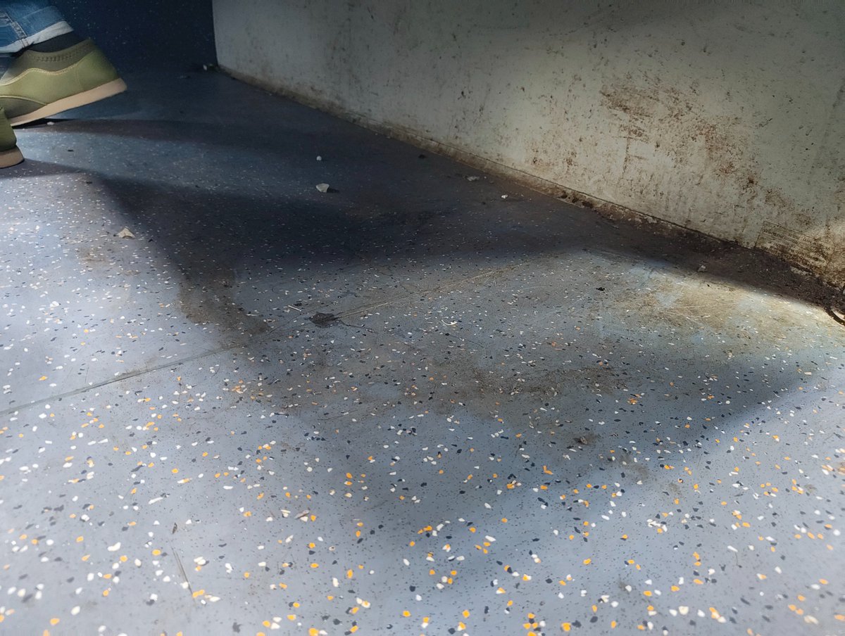 Ravindras261's tweet photo. Extremely dirty coach Number A2 in Saptkranti Express 12557, please help

Seat 33

@RailMinIndia @RailwaySeva https://t.co/0uS1jGjg4W