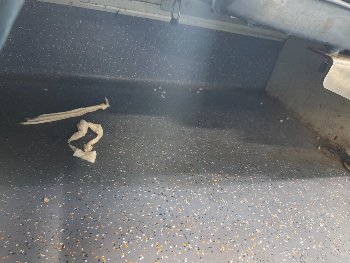 Ravindras261's tweet photo. Extremely dirty coach Number A2 in Saptkranti Express 12557, please help

Seat 33

@RailMinIndia @RailwaySeva https://t.co/0uS1jGjg4W