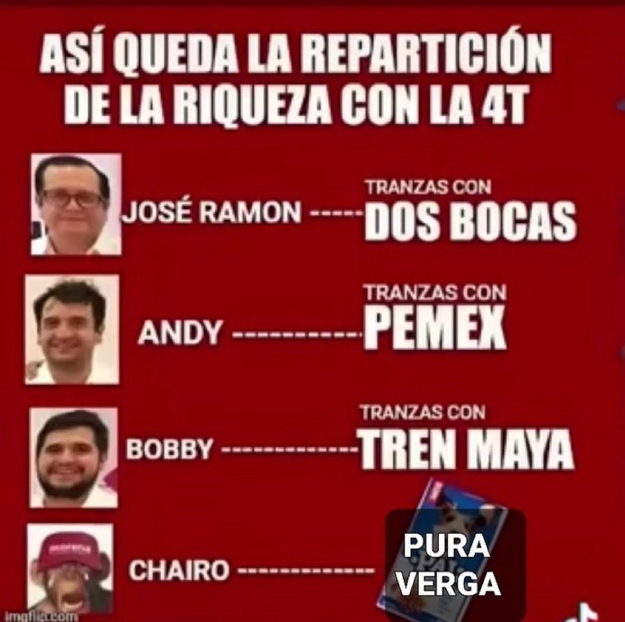 Peregrino tweet media