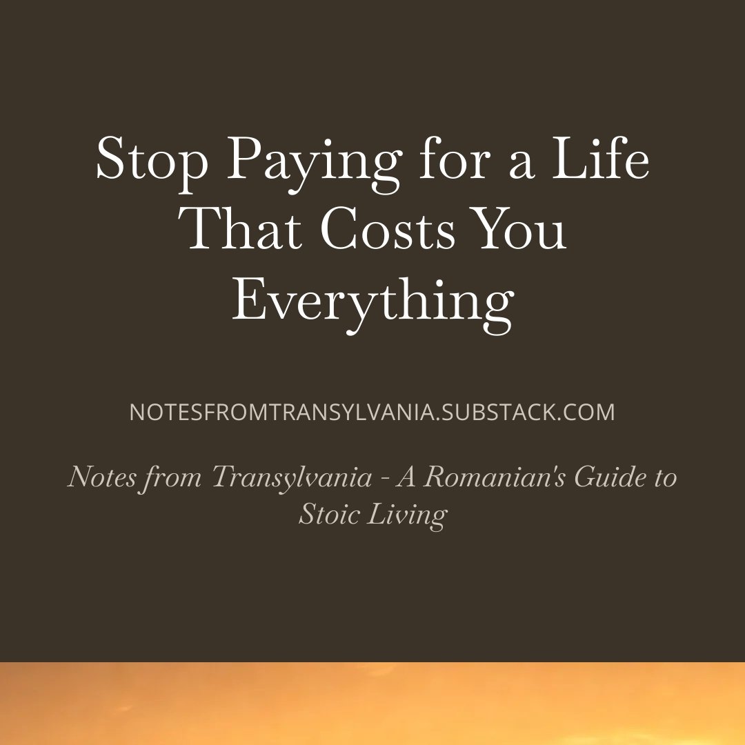 Notes from Transylvania tweet media