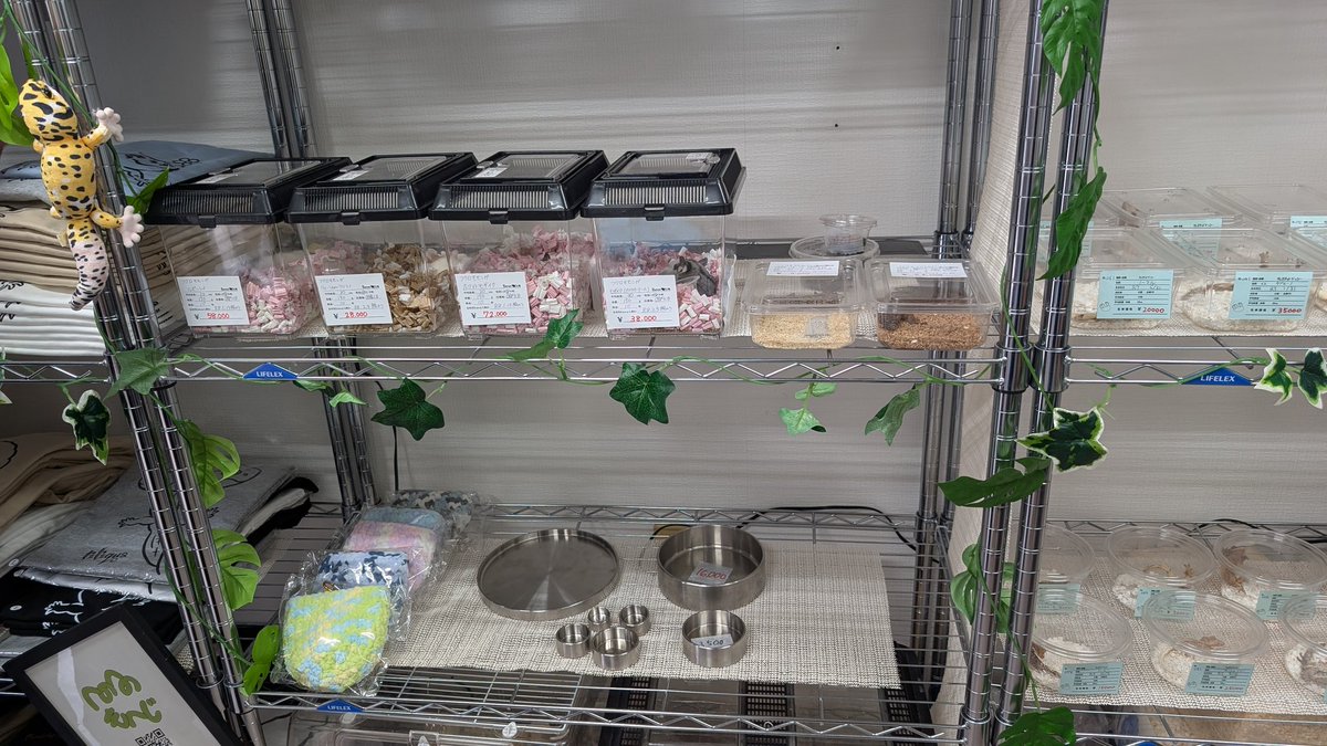 Beron工房 tweet media