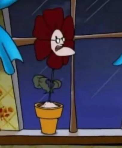 "A 30 anni sei nel fiore della tua gioventù!"
Io a 30 anni: