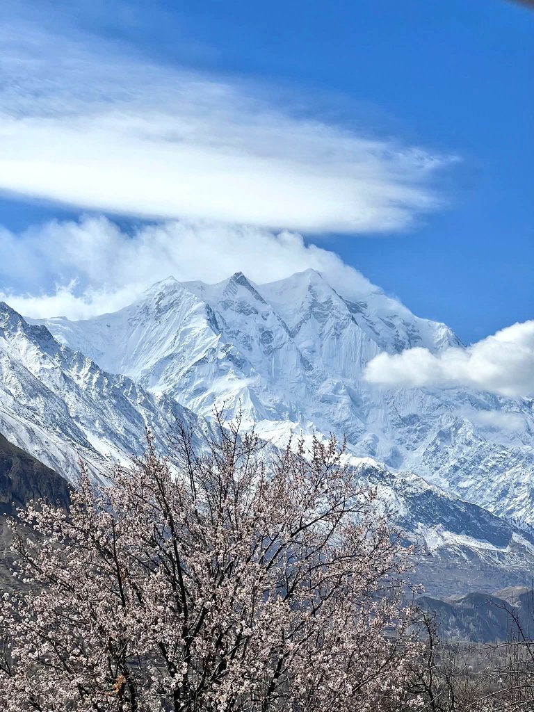 Discover Karakoram tweet media