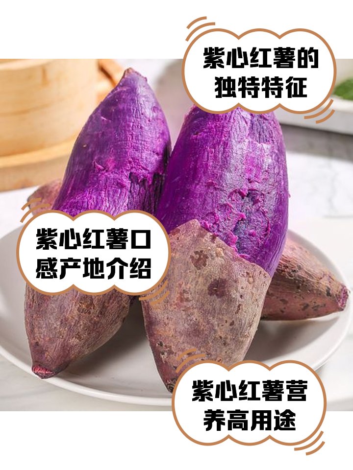 nkt X nkt tweet media