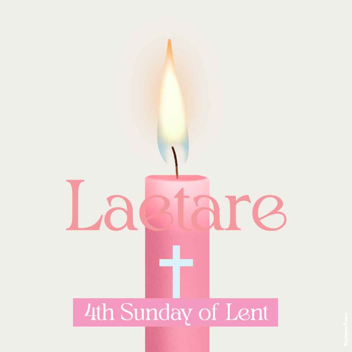 The Southern Cross  tweet media