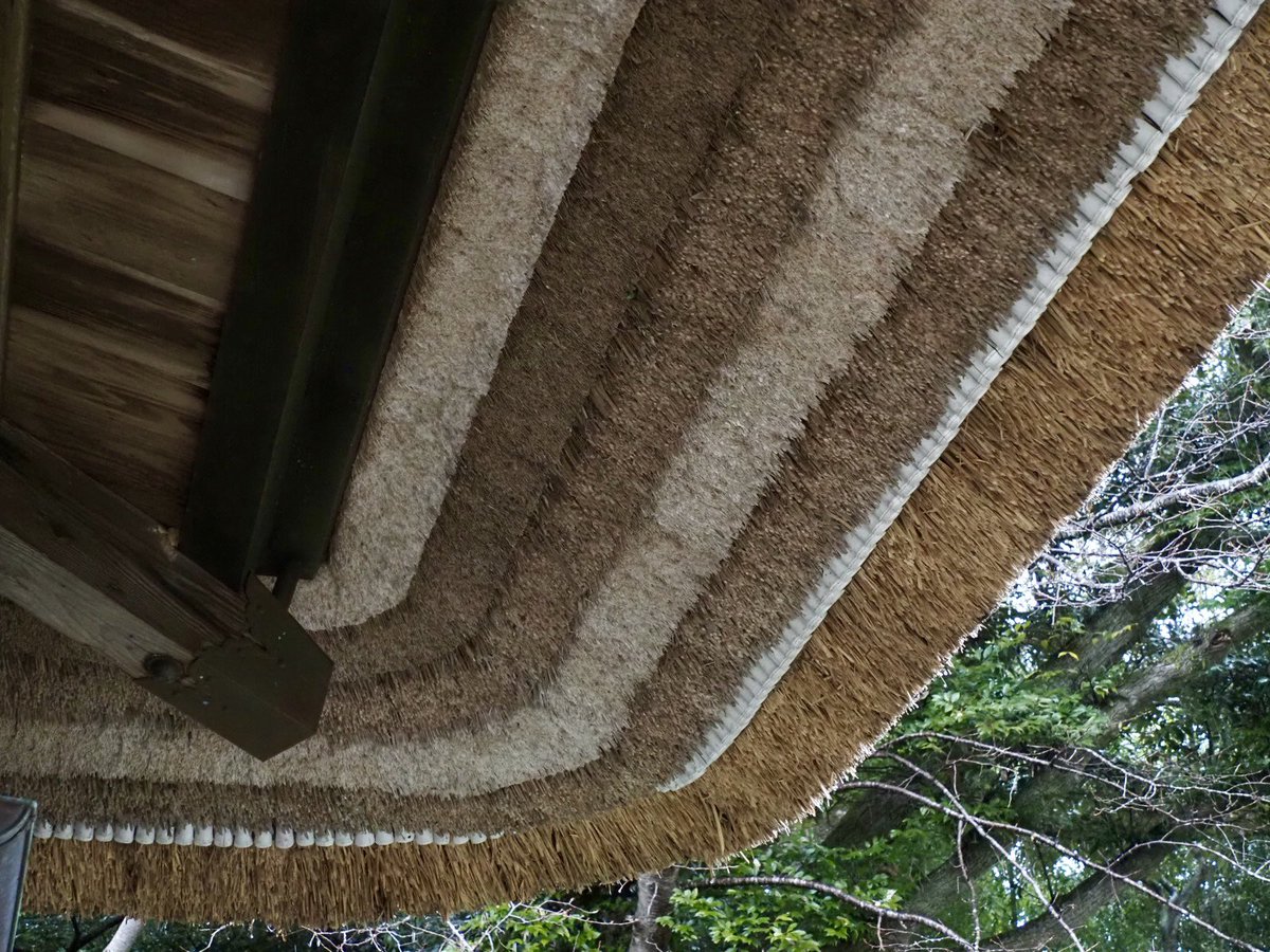 ロプロス tweet media