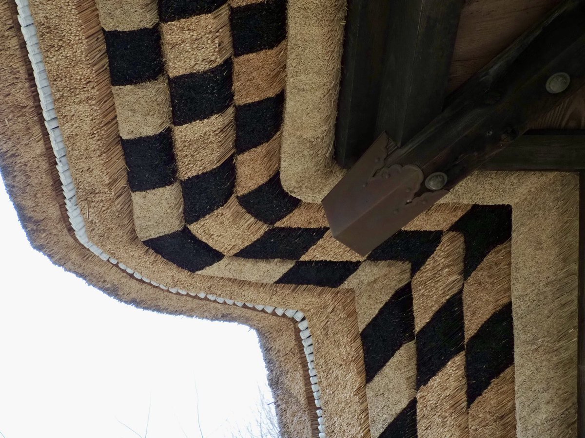 ロプロス tweet media