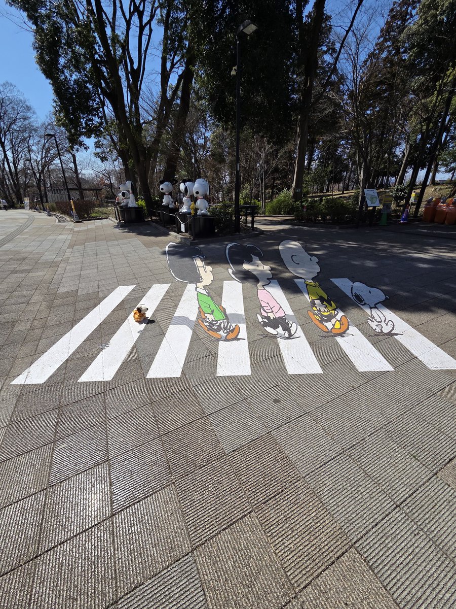 rasoulzz's tweet photo. ライナスの企画展に行ってきたよー
波乗りしているみたい。
#旅するスヌーピー https://t.co/TOnnS8RrnM