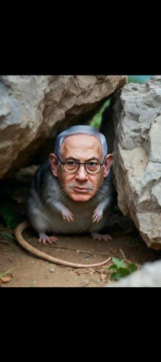 MuhammadBa85723's tweet photo. @RussianSnappy Hell Mouse 🐁 https://t.co/Euea8o8udy