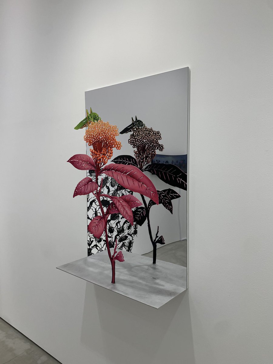 ザドック・ベン＝デイヴィッド 『セカンド・ネイチャー』GYRE GALLERYへ行ってきました。
光と影、美と醜、快と不快、善と悪。
単純ではない世界を二元論でぶった切る。
奥行のある世界を平たくし表と裏をつくり
蝶は鮮やかに彩色され甲虫や害虫は黒く塗りつぶされる。
。
このうえなくわかりやすい。