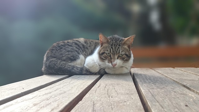 Kenny Harvey tweet media