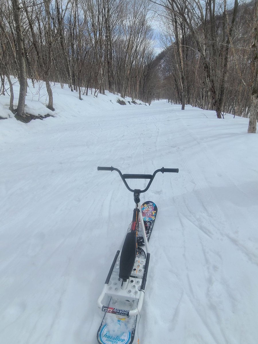 サーバルメット tweet media