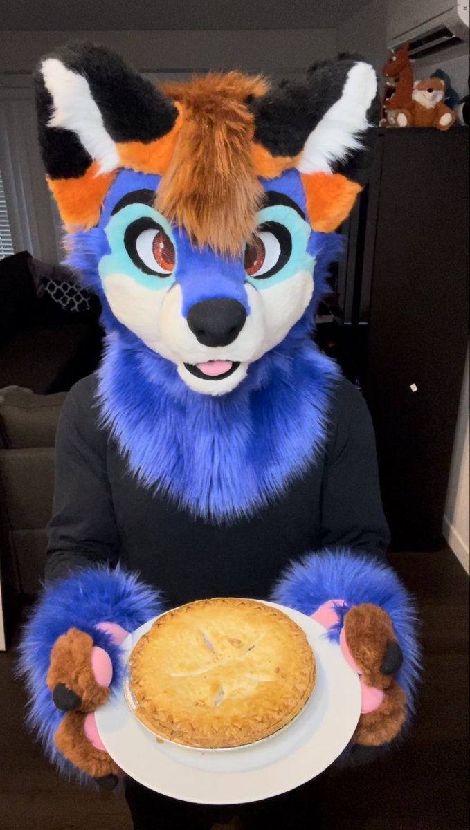 Firal Fox tweet media