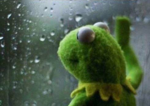 Sarah Evans tweet media