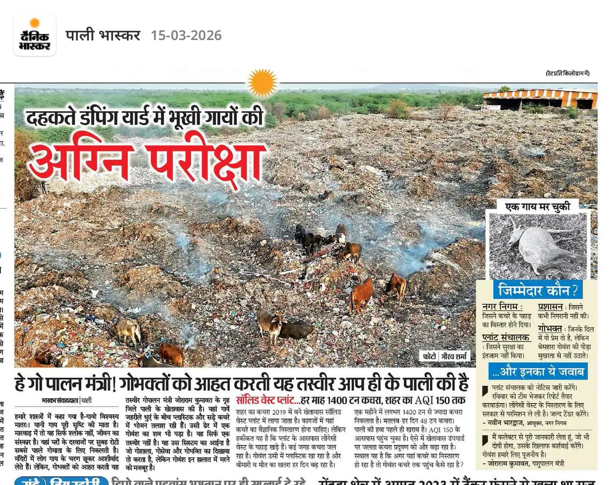 गौमाता की बेकद्री की यह तस्वीर हम सभी गौभक्तों के लिए बेहद विचलित करने वाली और दिल दुखाने वाली है। यह स्थिति गोपालन मंत्री श्री जोराराम कुमावत के गृह जिले पाली के खेतावास की है। जब हम कहते हैं कि यह सरकार गौमाता का उपयोग सिर्फ और सिर्फ राजनीति के लिए करती है और इनकी कथनी करनी के