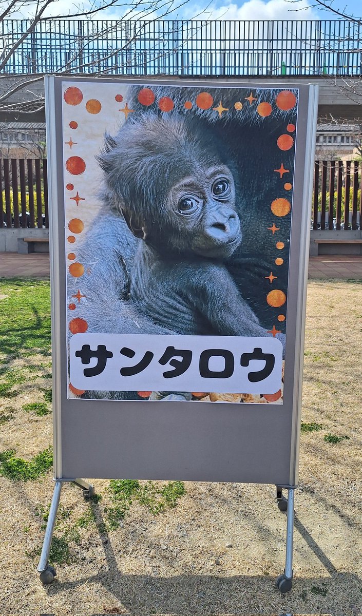 ヲミイ tweet media