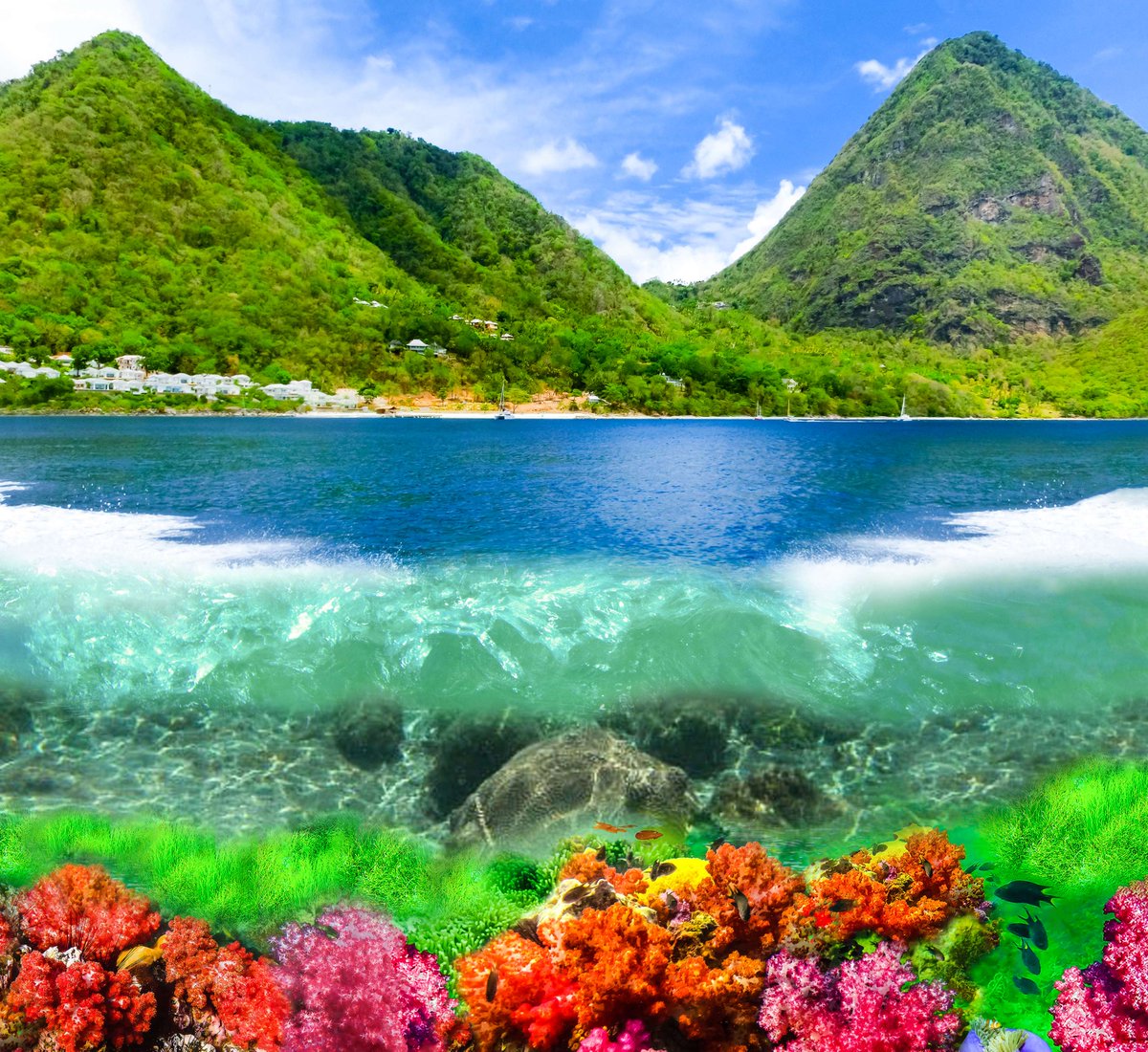 Developing EM tweet media