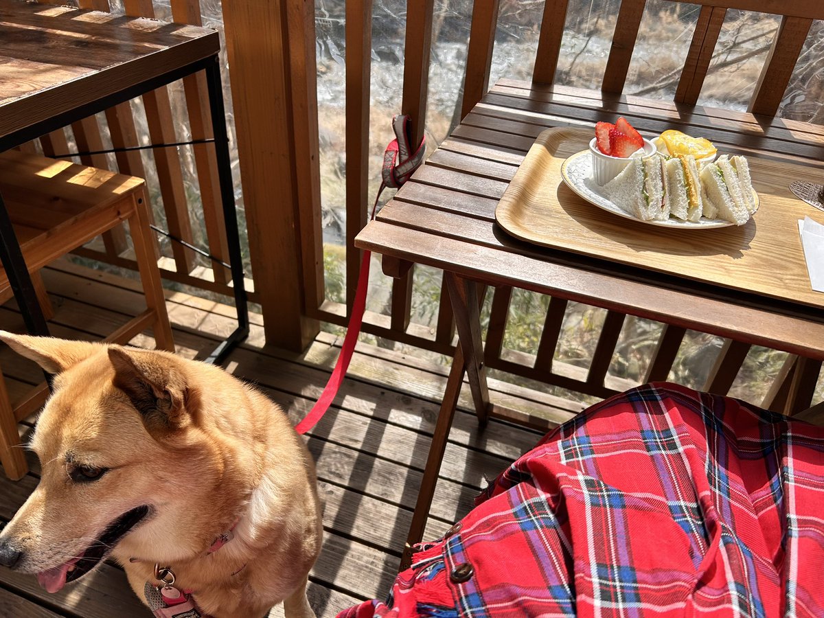 ころん tweet media