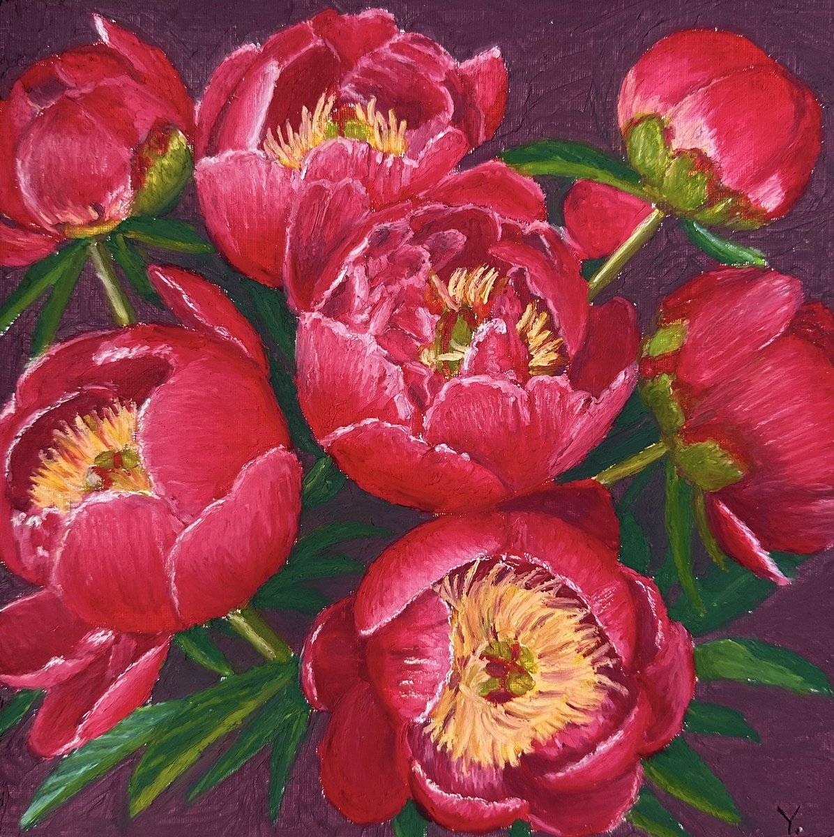 GM ☀️
Don’t forget me…