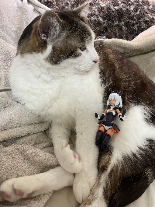 確定申告も終わり、イルシャナちゃんを組みましたよ 