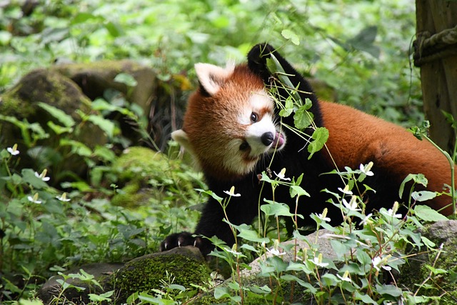 Gary Hampton tweet media