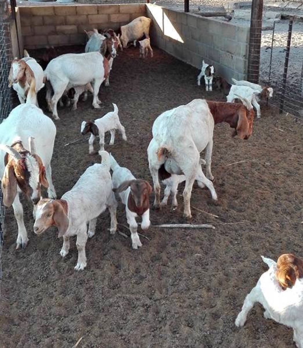 ChrisExcel tweet media