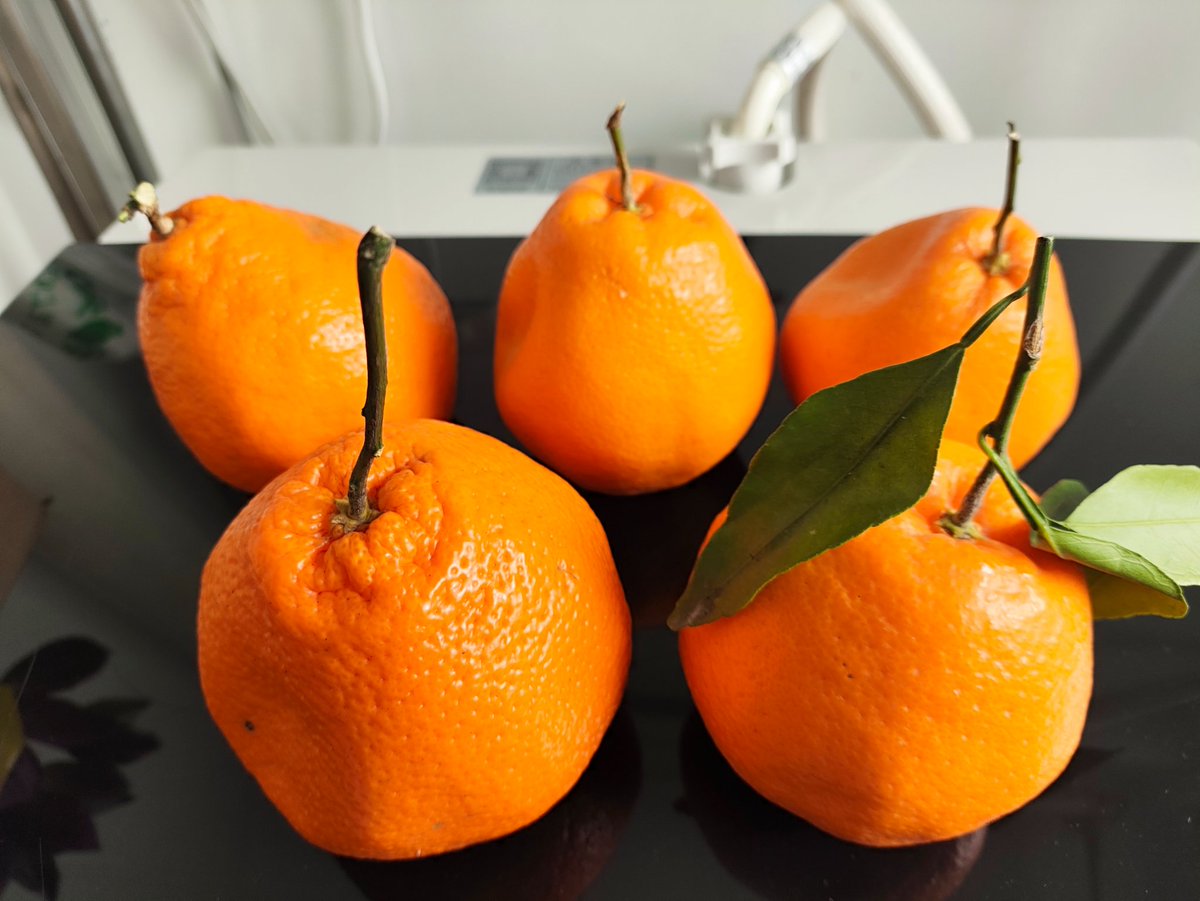 周尔复 tweet media