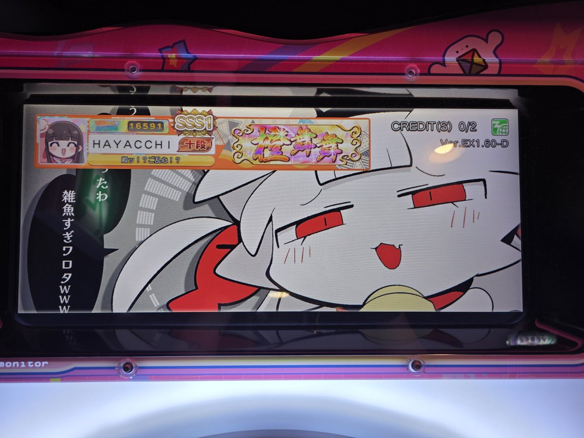 하얏치 HAYACCHI tweet media