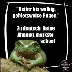 Wie wird denn heute das Wetter 🐸🌧️🌞