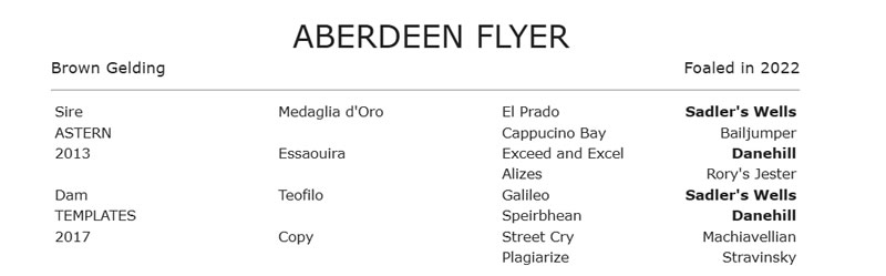 Tara Madgwick tweet media