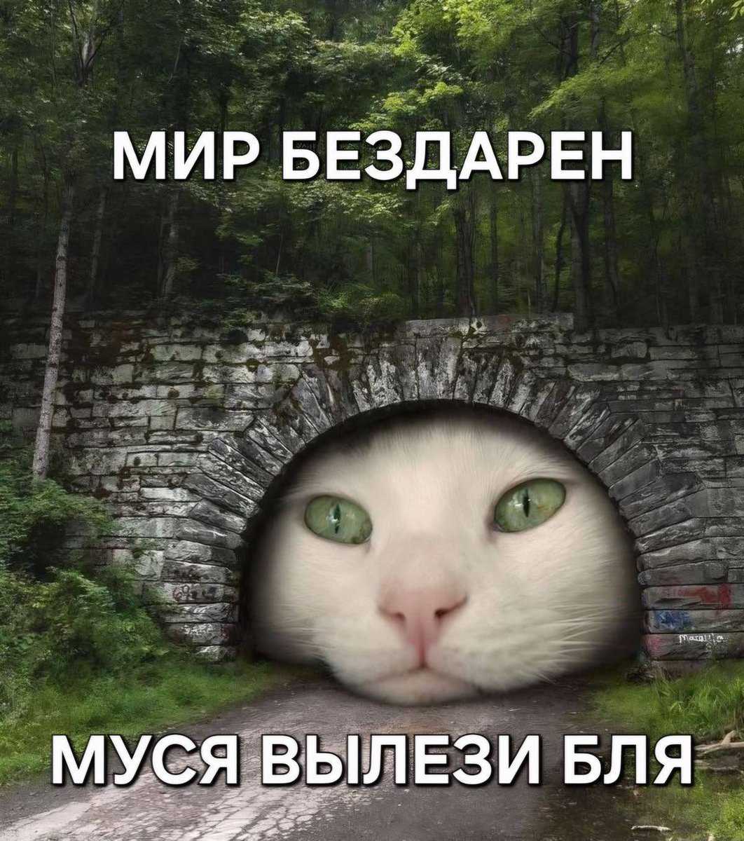 хару из балка🕊 tweet media