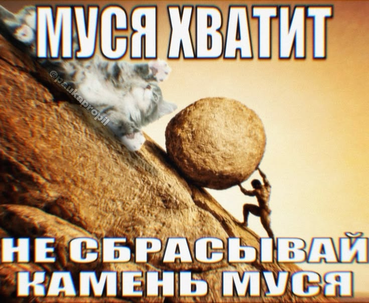 хару из балка🕊 tweet media