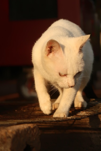 Terri Frught tweet media