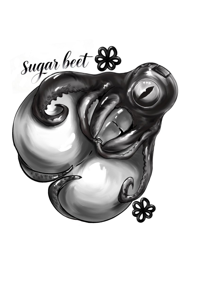 Sugar beet 甜菜 tweet media