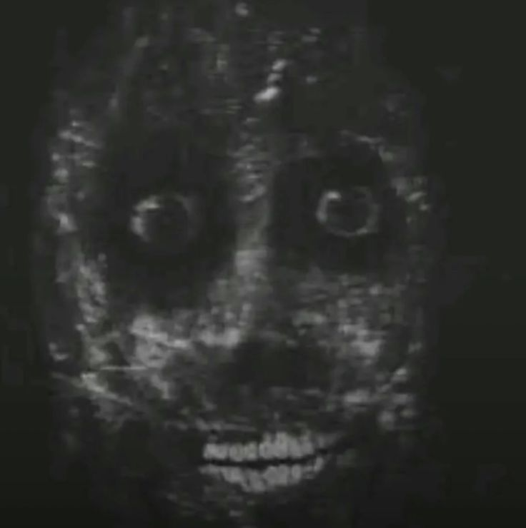 ꯌꯒꯤ ꯔꯤꯀꯣꯅꯤꯡ ꯑꯁꯤ ꯂꯥꯛꯂꯤ꯫ ꯅꯈꯣꯌ tweet media