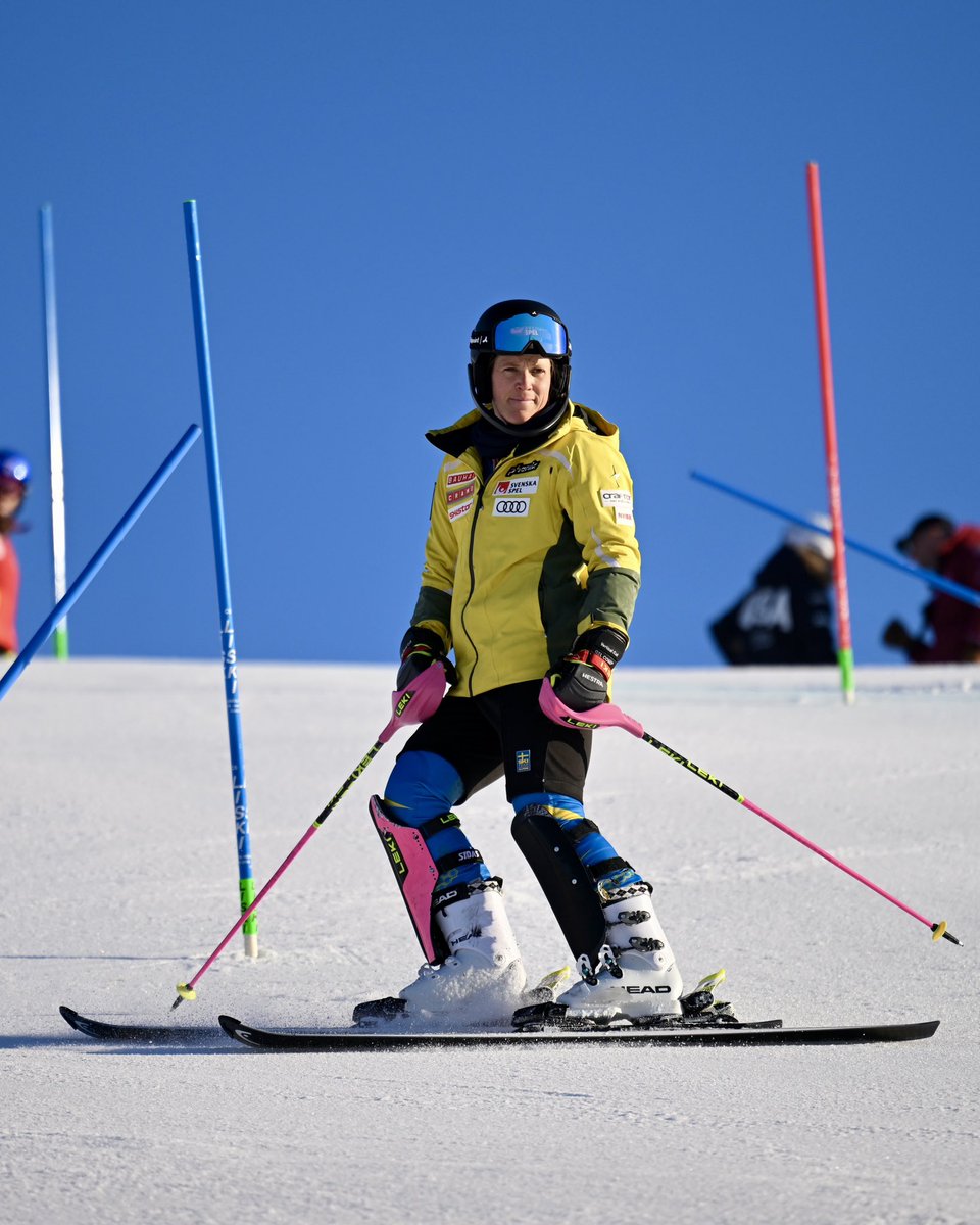 FIS Alpine tweet media