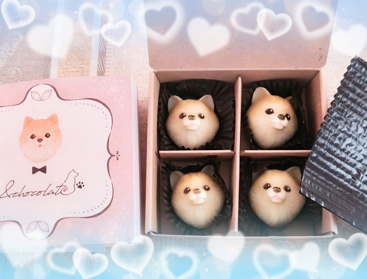 Yukino🍀 tweet media