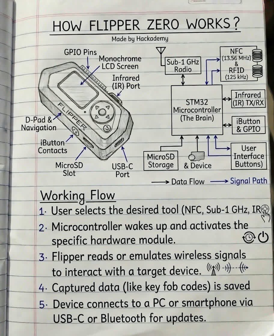 Cyber_Racheal tweet media