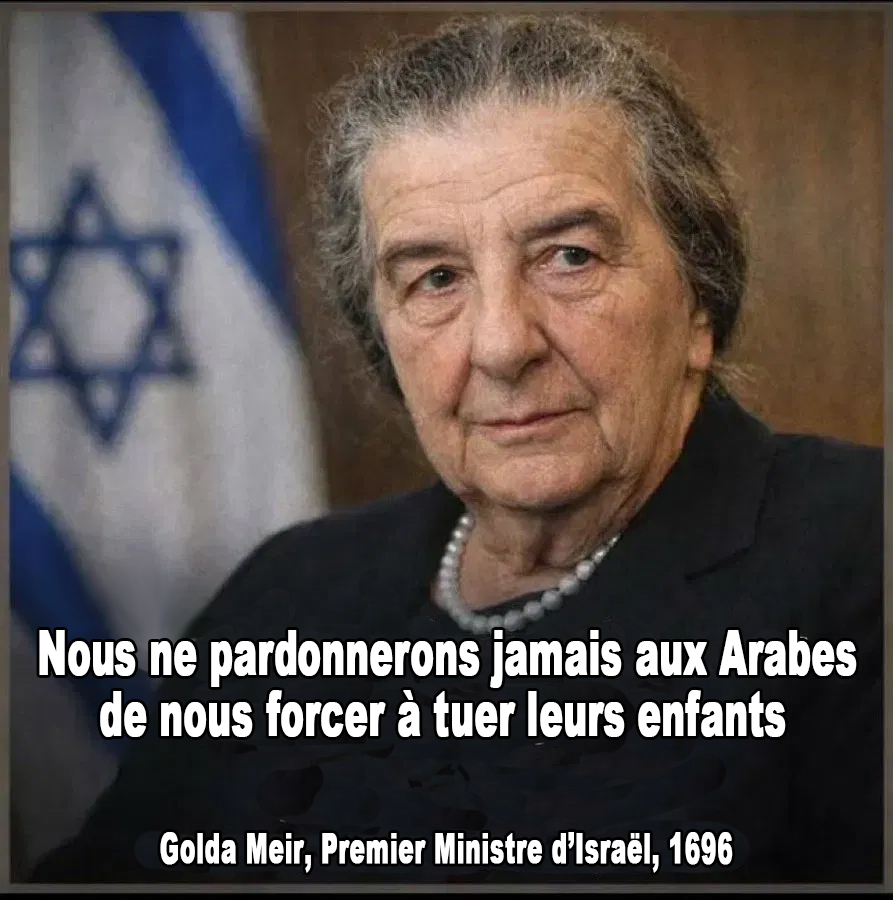 Goldo Rekk tweet media