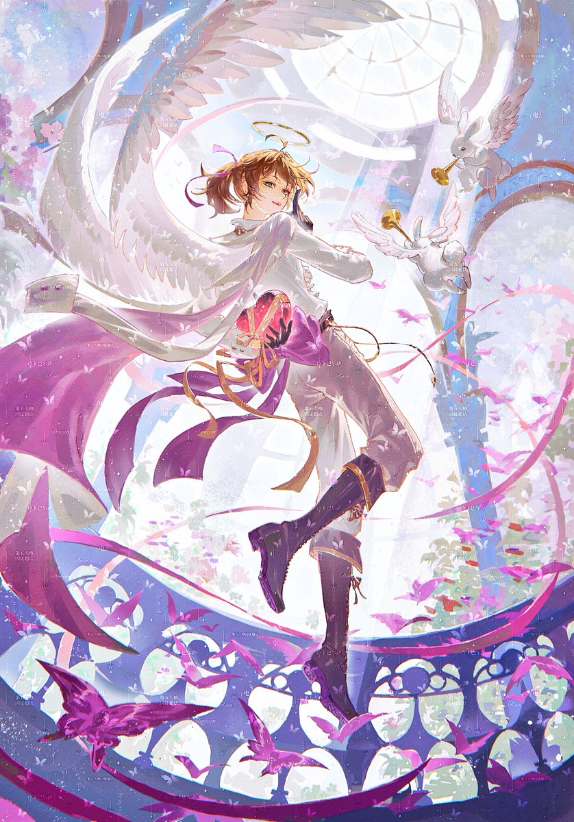 IDV-Luca Balsa-Fan Page tweet media